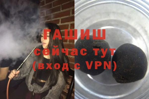 твердый Абаза