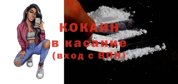 твердый Абаза