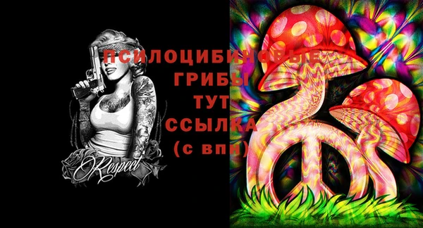 mix Нязепетровск