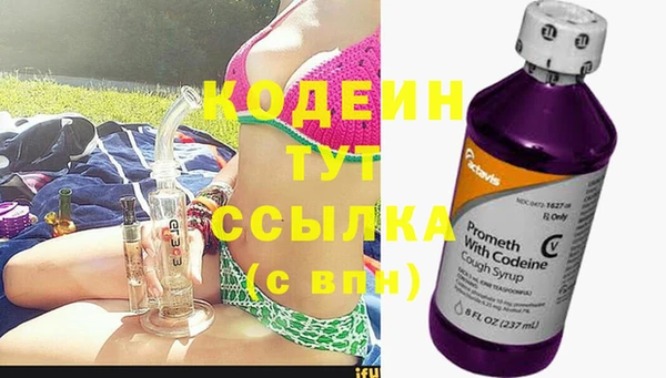 хмурый Пересвет