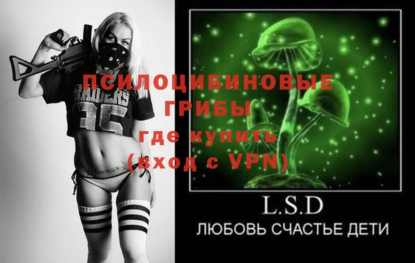 ГАЛЛЮЦИНОГЕННЫЕ ГРИБЫ Нягань