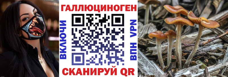 МЕГА зеркало  Нижняя Тура  Галлюциногенные грибы Cubensis  как найти  