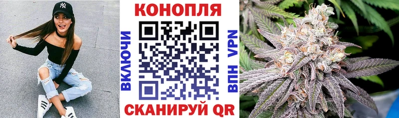 ОМГ ОМГ как войти Нижняя Тура Каннабис White Widow